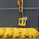 Yellow umbrellas placed in front of Hong Kong’s government offices.